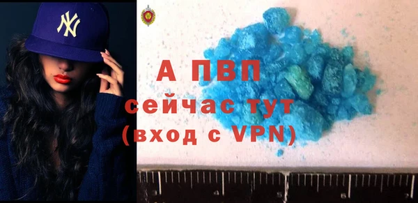 шишки Абаза