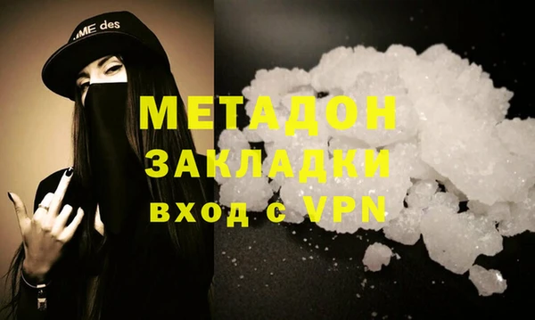 шишки Абаза