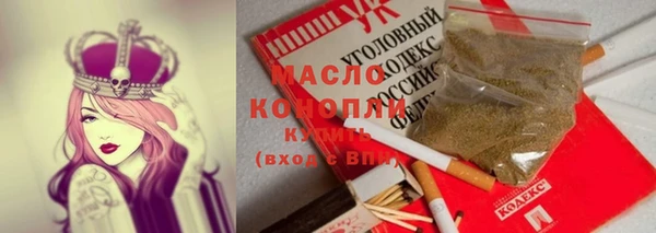 шишки Абаза