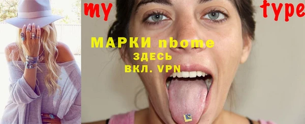 шишки Абаза
