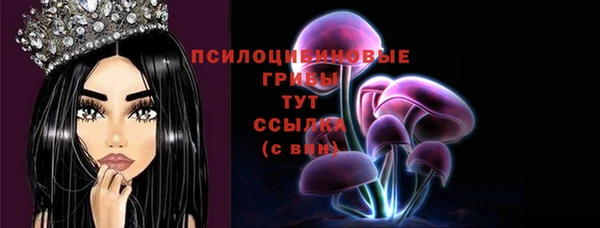 тгк Абдулино