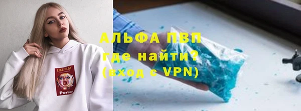 шишки Абаза