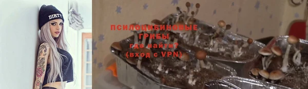 дурь Алексин