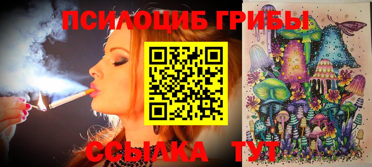 Псилоцибиновые грибы Psilocybine cubensis  Вход с VPN  Галлюциногенные грибы мухоморы  Черемхово 